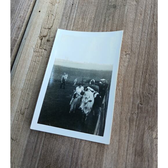 Vintage Photograph Woman & Little Girl Petting A Cow Farm Life - Picture 2 of 4